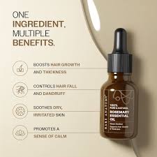 Rosemary Oil - PURE AND NATURAL Hair Oil - Key To Healthy Hairs & Skin - 100% Natural - Best For ( Hair Health & Aromatherapy ) - Image 2